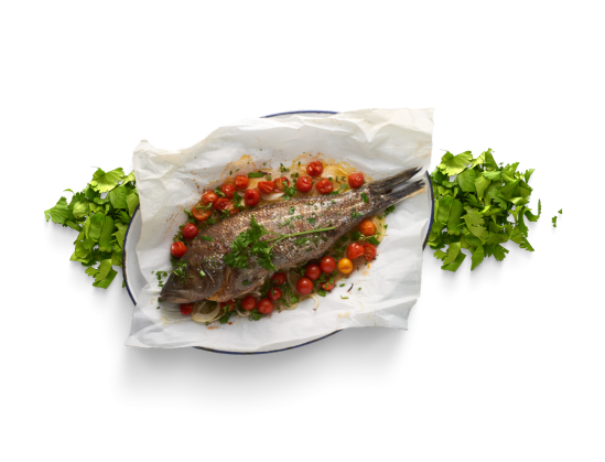 Peixe Lanchonete RM